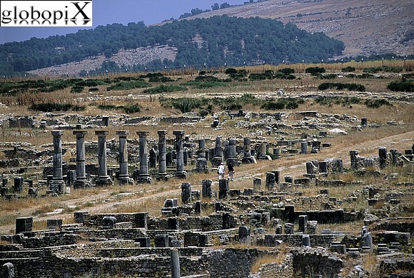 Citt� Imperiali - Volubilis