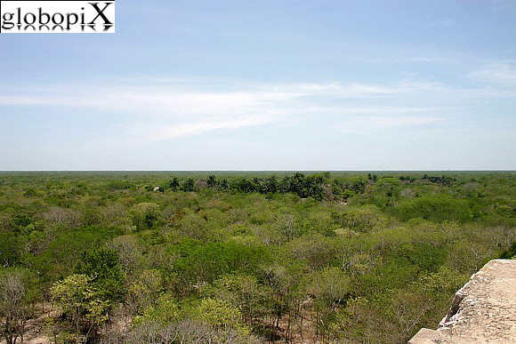 Chichen Itza - Foresta dal Castillo