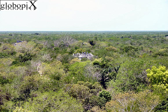 Chichen Itza - Tempio nella foresta