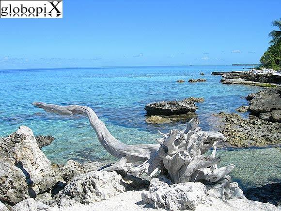 Rangiroa - Baia a Rangiroa
