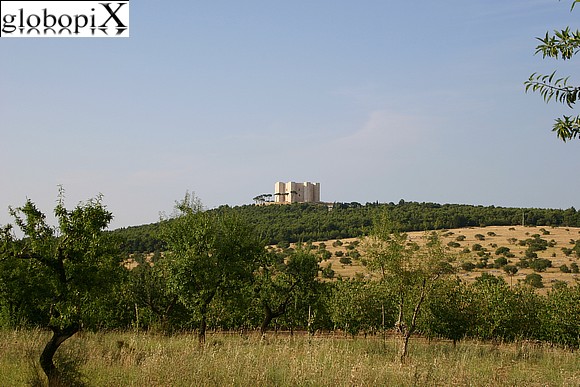 Castel del Monte dalla distanza