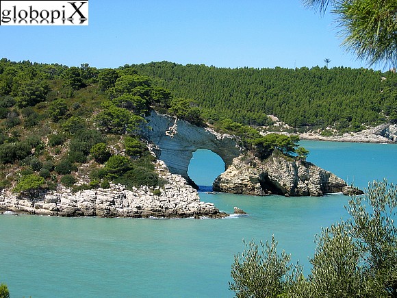 Gargano - Testa del Gargano