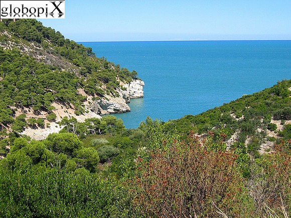 Gargano - Pugnochiuso - Cala della Pergola