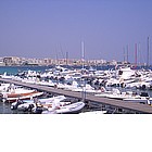 Photo: The harbour