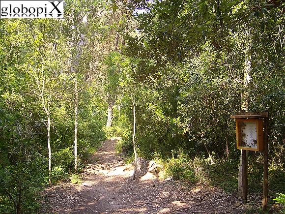 Salento - Riserva naturale Le Cesine