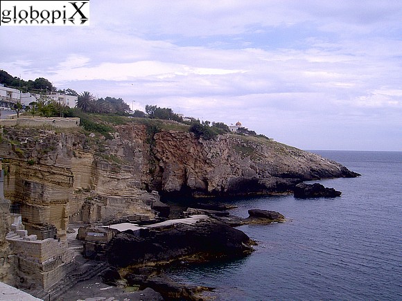 Salento - Sea cliffs at Santa Ces�rea Terme