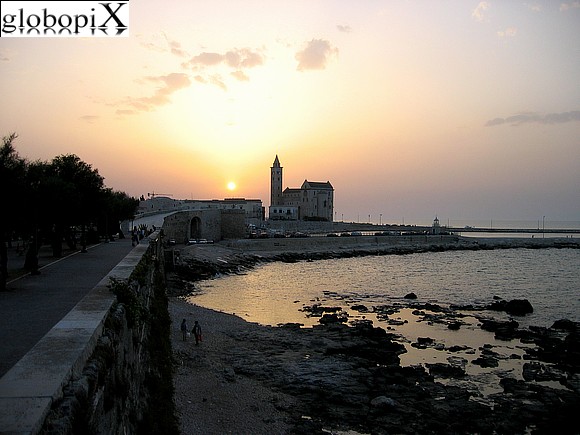 Trani - Cattedrale di Trani al tramonto