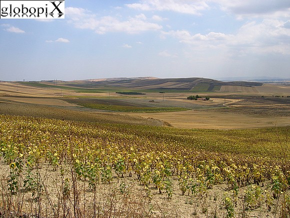 Campagna