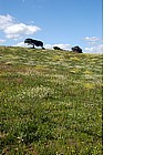 Scorcio di Arzachena
