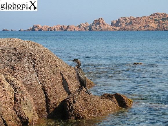 Isola Rossa