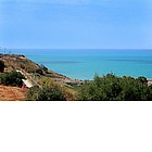 Photo: Surroundings of the archaeological site