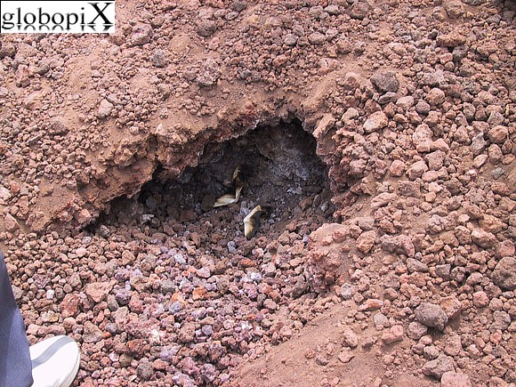 Fenomeni di combustione sull'Etna