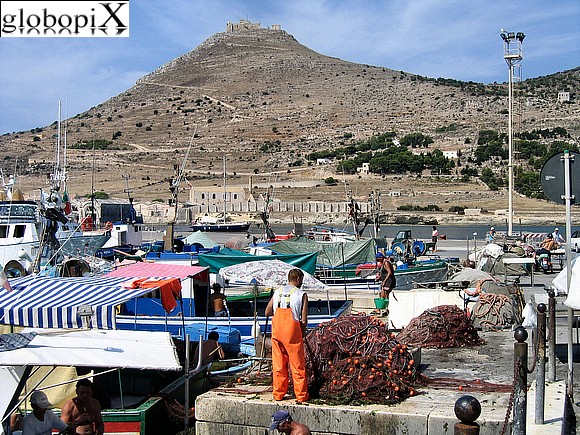 Il porto di Favignana