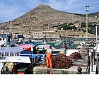 Foto: Il porto di Favignana