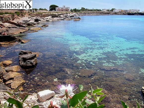 Cala Marasolo
