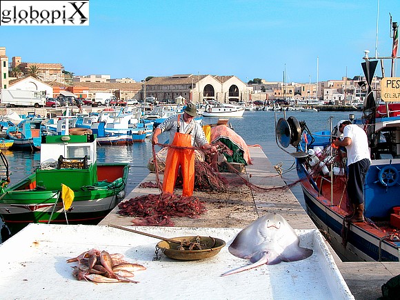 Pesca a Favignana