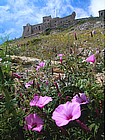 Castello di Monte S. Caterina