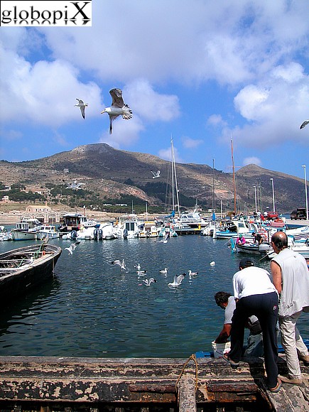 Porto di Favignana