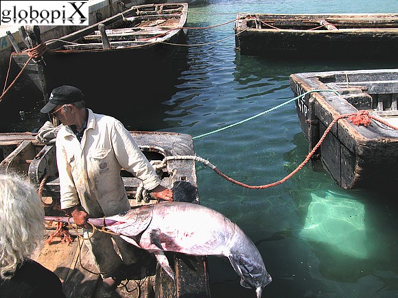 Pesca a Favignana