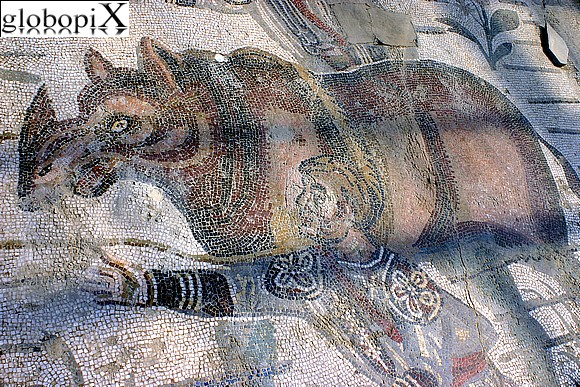 Ambulacro della Grande Caccia