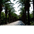 Giardino Ibleo