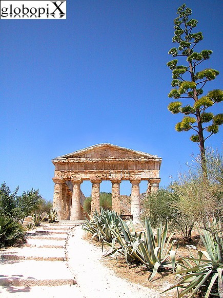 Il Tempio di Segesta