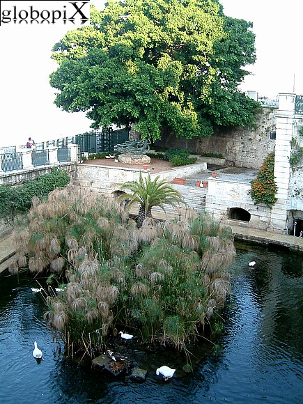 Siracusa - Fonte Aretusa