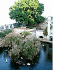 Fonte Aretusa