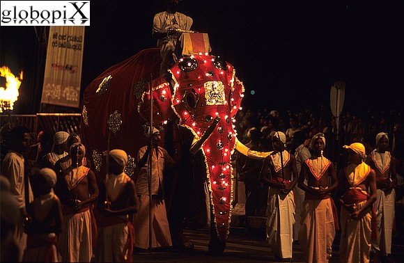 Sri Lanka - Kandy - Esala Perahera