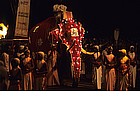 Kandy - Esala Perahera