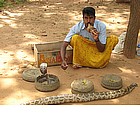 Foto: Incantatore di serpenti