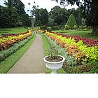 Giardino botanico