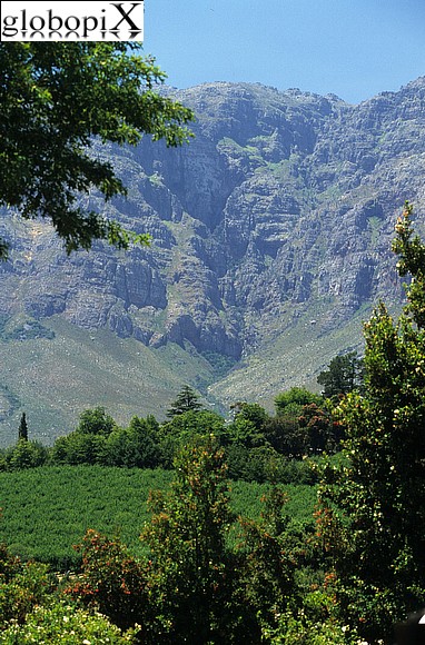 SouthAfrica - Paarl