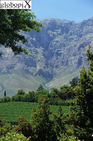 Sudafrica - Paarl