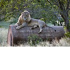 Photo: 