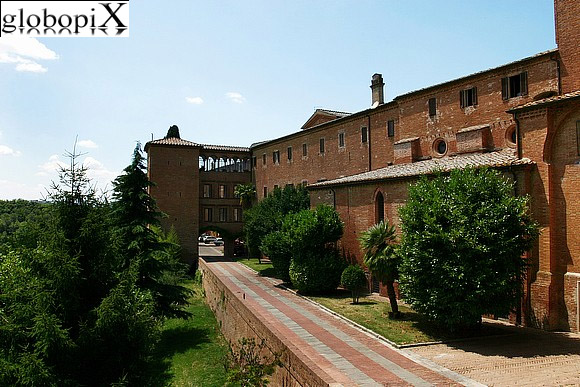 Abbazia Monte Oliveto Maggiore