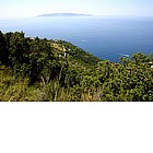 Photo: Scenic road to Cala Piccola