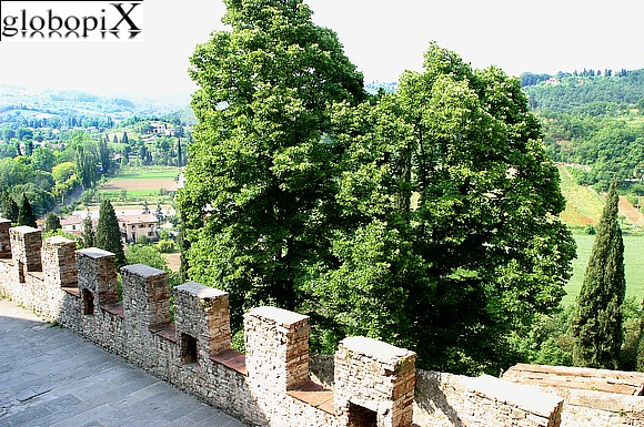 Dintorni di Firenze - Panorama dalla Certosa