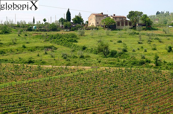 Paesaggi del Chianti