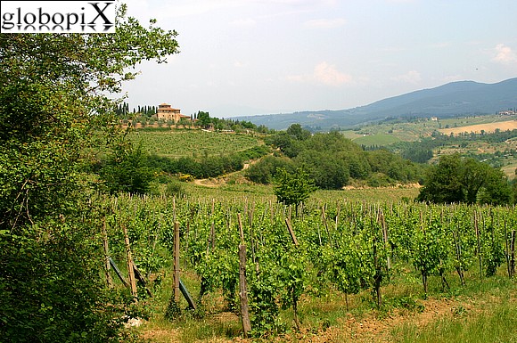 Paesaggi del Chianti