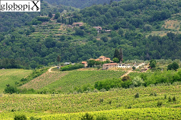 Il Chianti - Paesaggi del Chianti