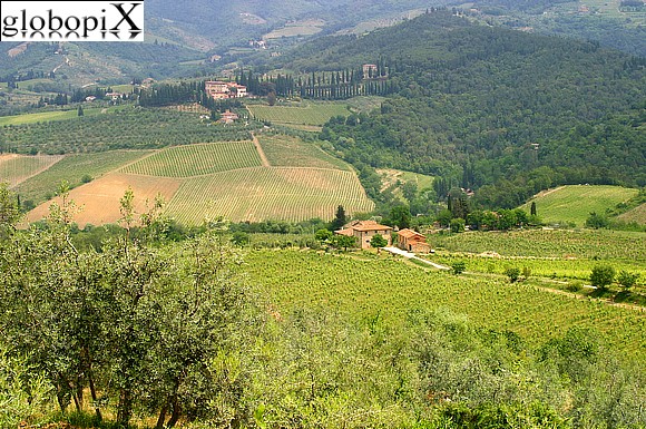 Paesaggi del Chianti
