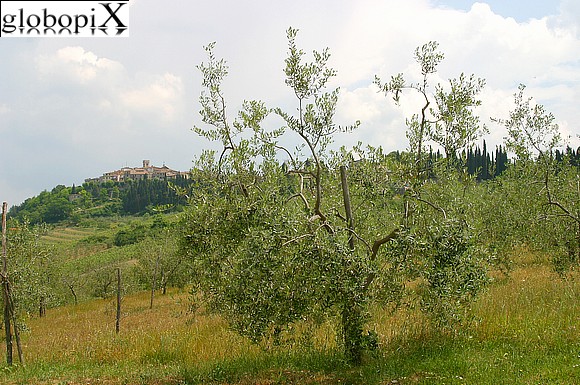 Paesaggi del Chianti