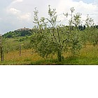 Photo: Views of the Chianti.