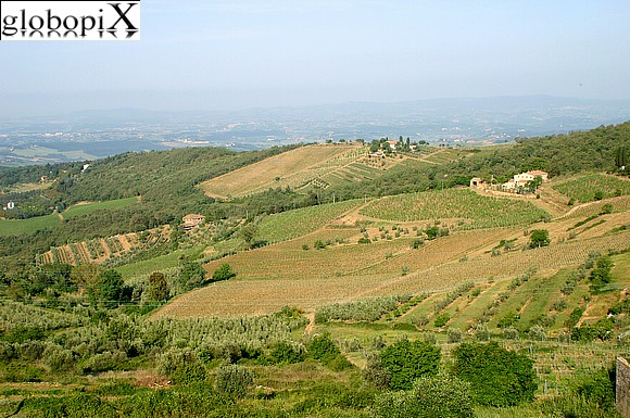 Paesaggi del Chianti