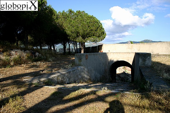 Fronte d'Attacco e Forte Falcone
