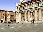Chiesa S. Michele in Foro