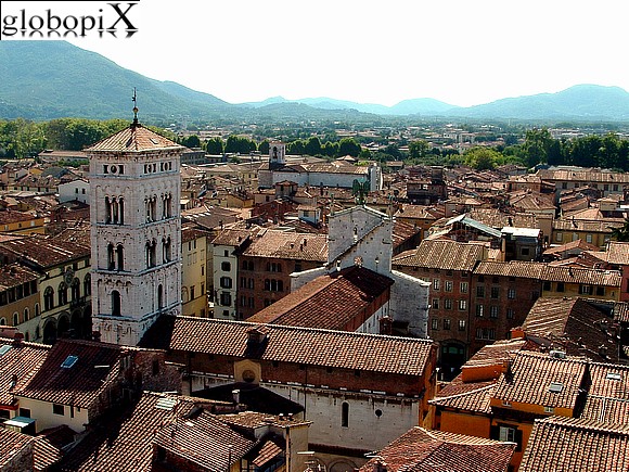Chiesa S. Michele in Foro a Lucca