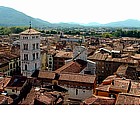 Chiesa S. Michele in Foro a Lucca