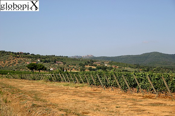 Maremma - Paesaggio nell'entroterra